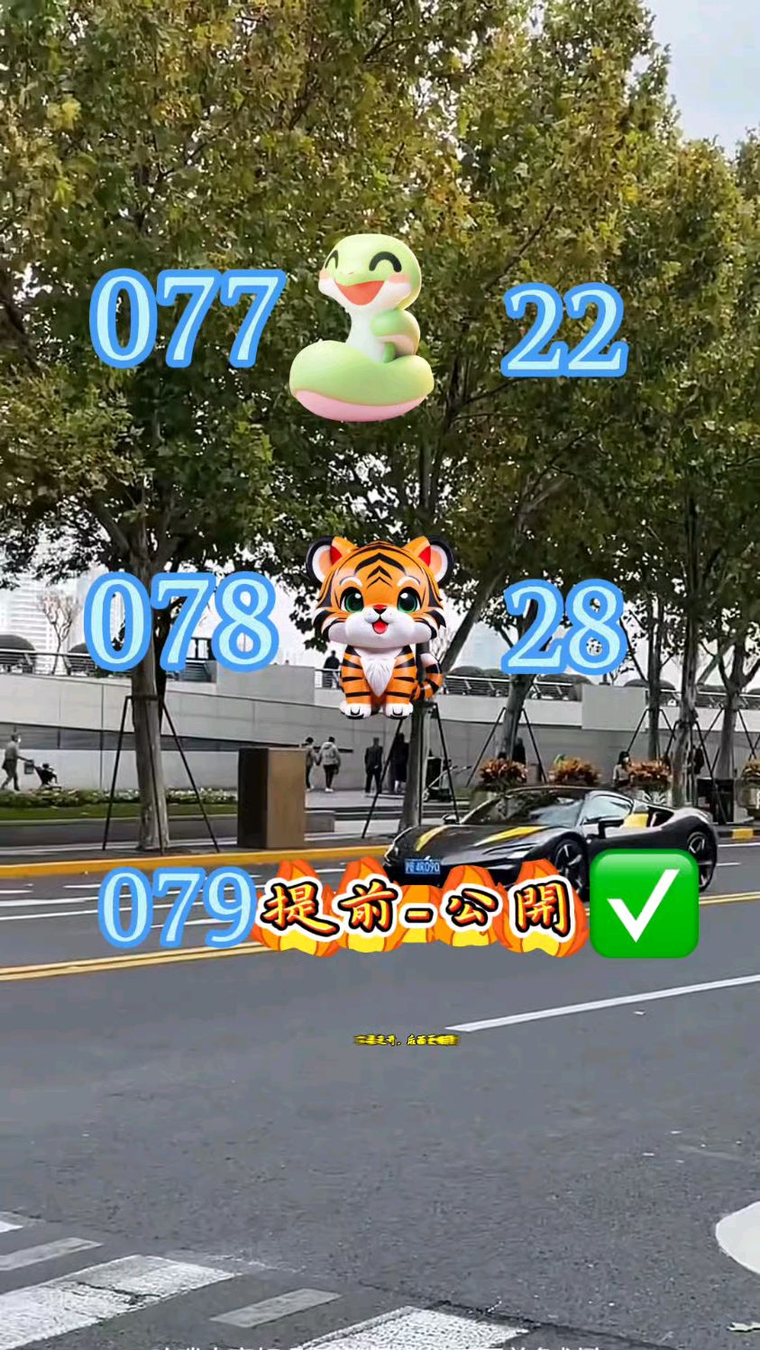 新澳精准正版免费大全